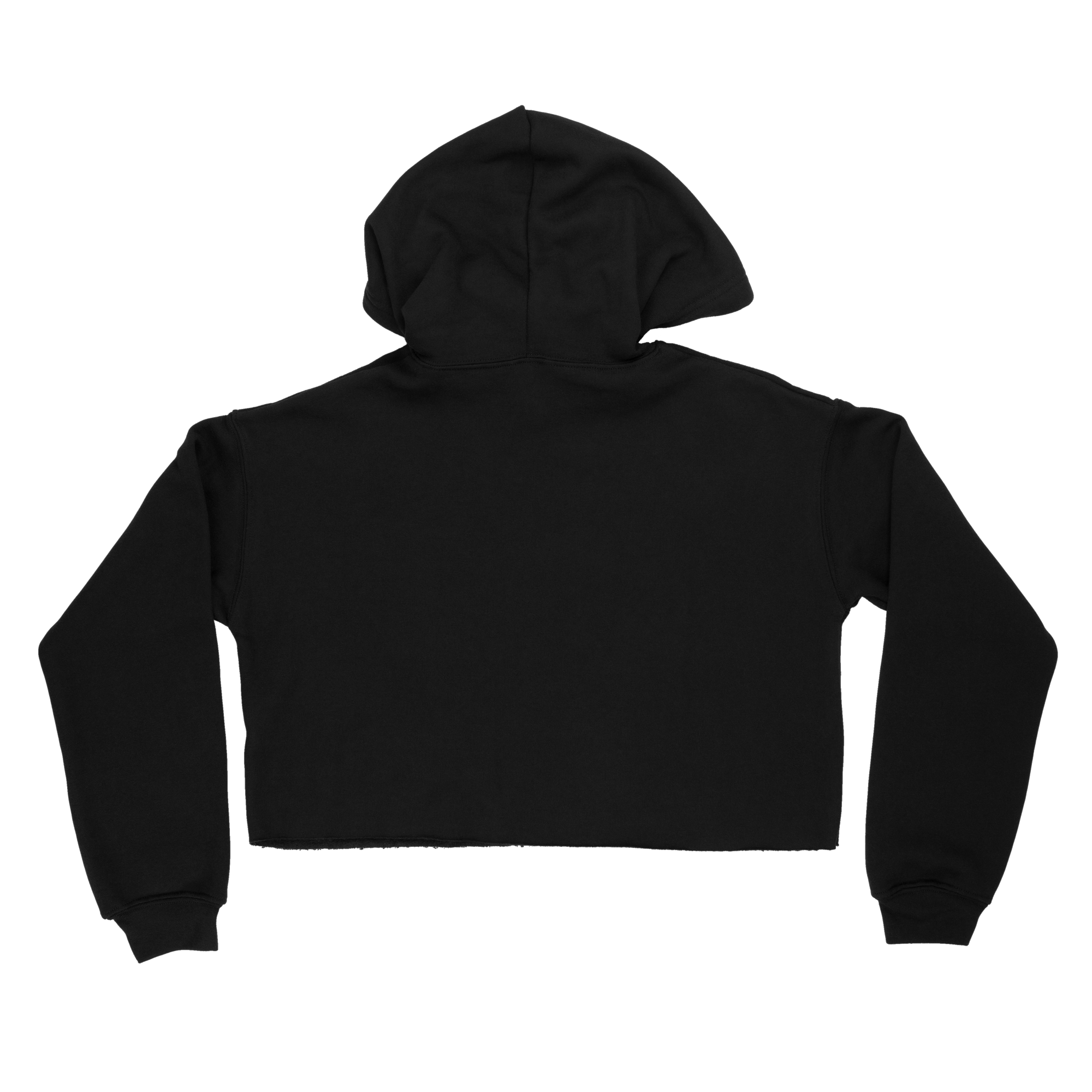 RIT Esports RIT Cropped Hoodie